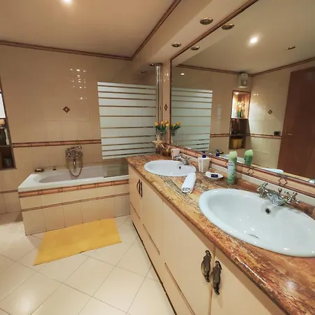 A Flower In ティラナ