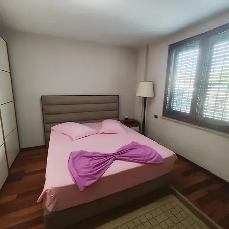 A Flower In アパート ティラナ