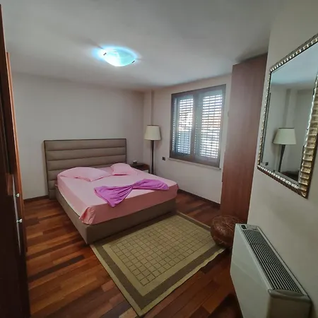 A Flower In * Tirana