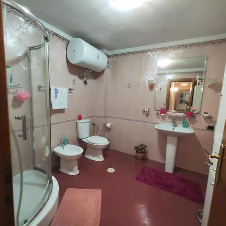 A Flower In ティラナ