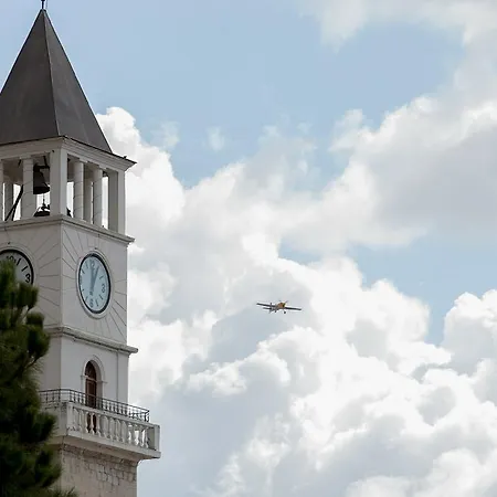 A Flower In * ティラナ