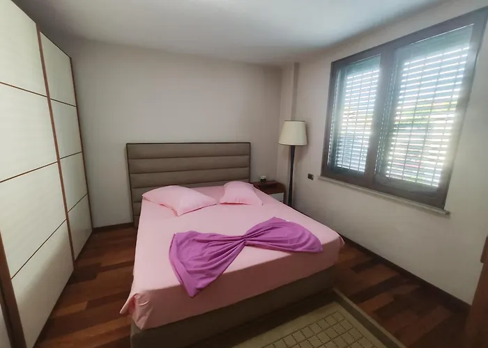 A Flower In Apartman Tirana