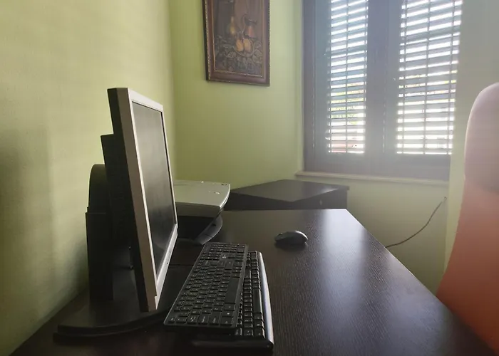 A Flower In Apartman Tirana